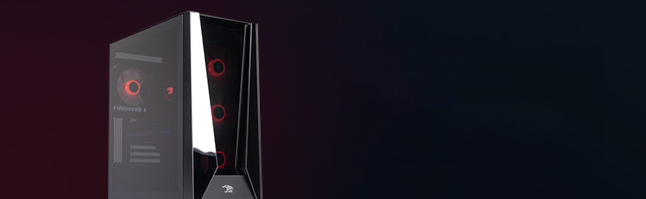 iBUYPOWER Gaming Desktop